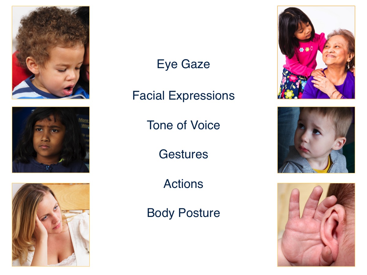 Using Social Cues to Understand Emotions Institute for Learning and