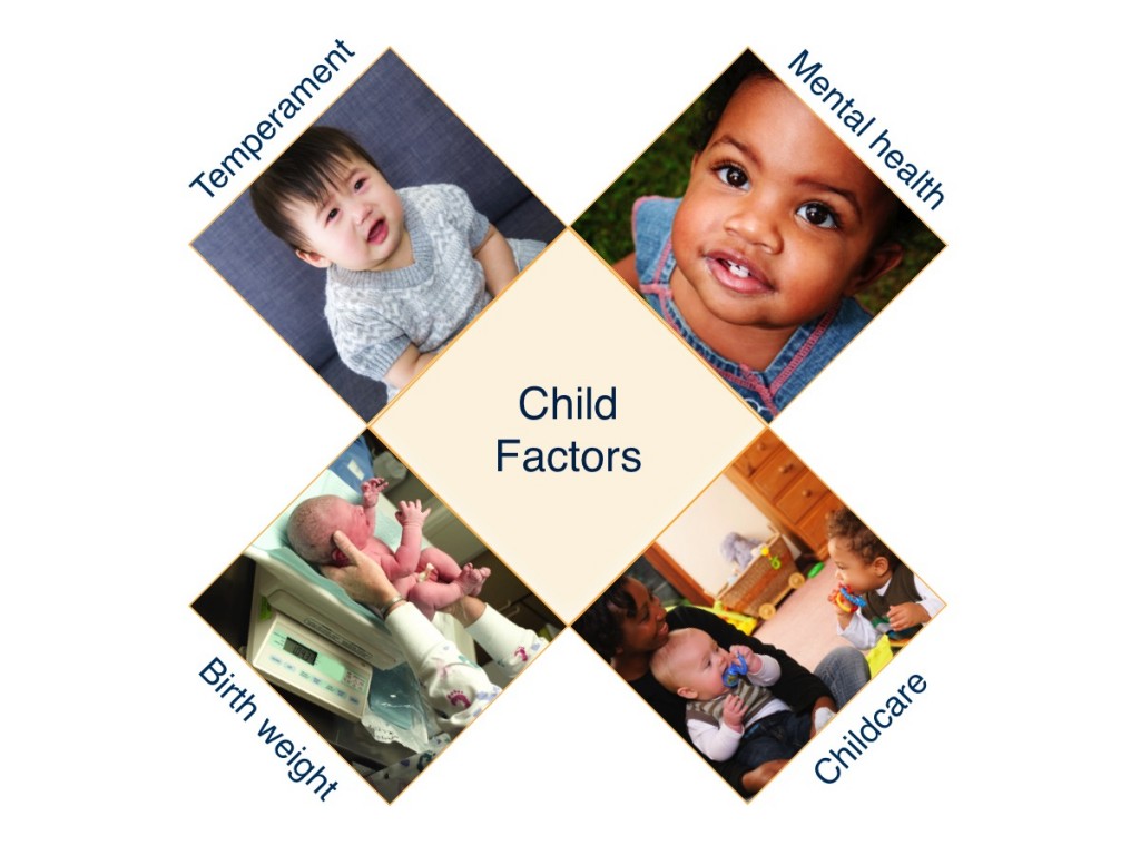 Child Factors Institute For Learning And Brain Sciences I LABS 