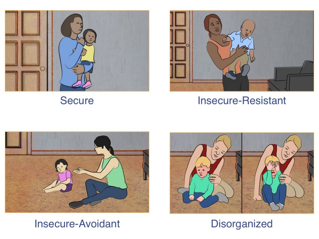 Attachment Behaviors (continued) Institute for Learning and Brain